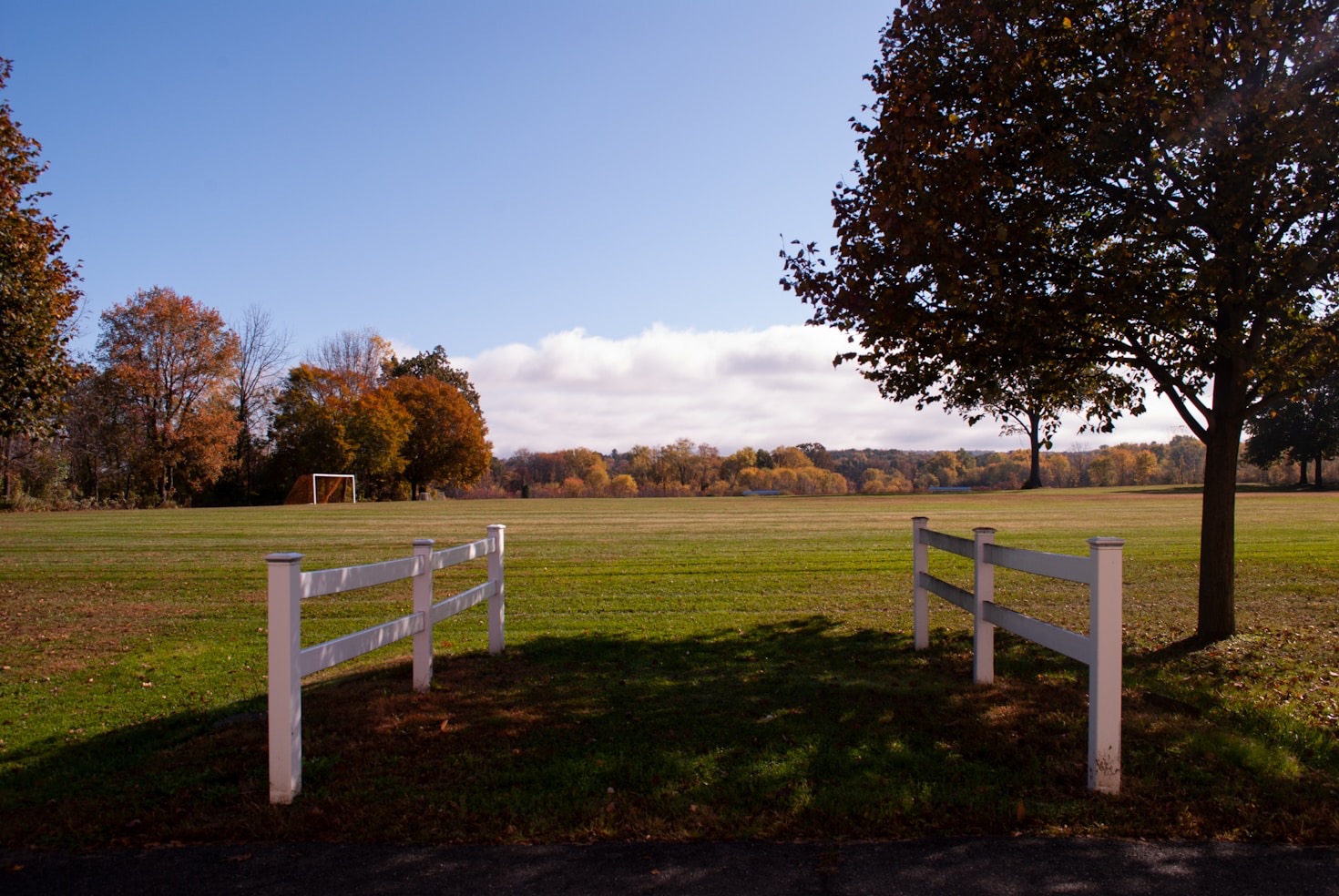 Exploring the Active Lifestyle at Mt. Olive Shores North